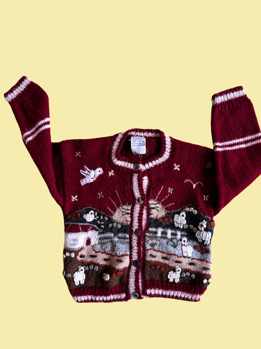 Wool Cardigan 4-5 Years