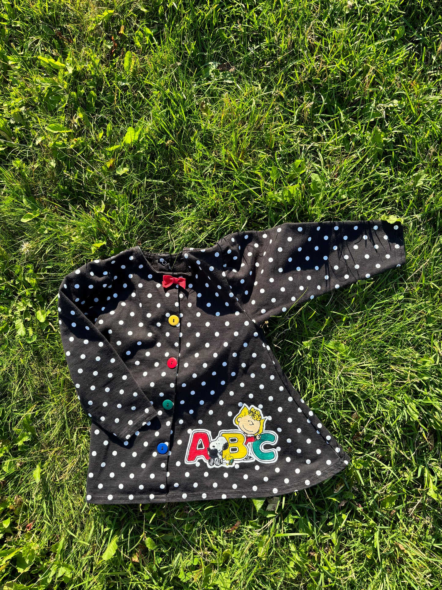 Peanuts Dress