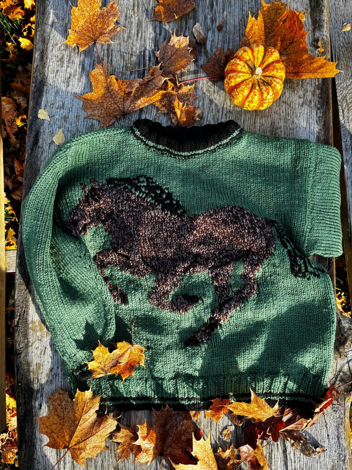 Knitted Horse Sweater Age 7-8 Years
