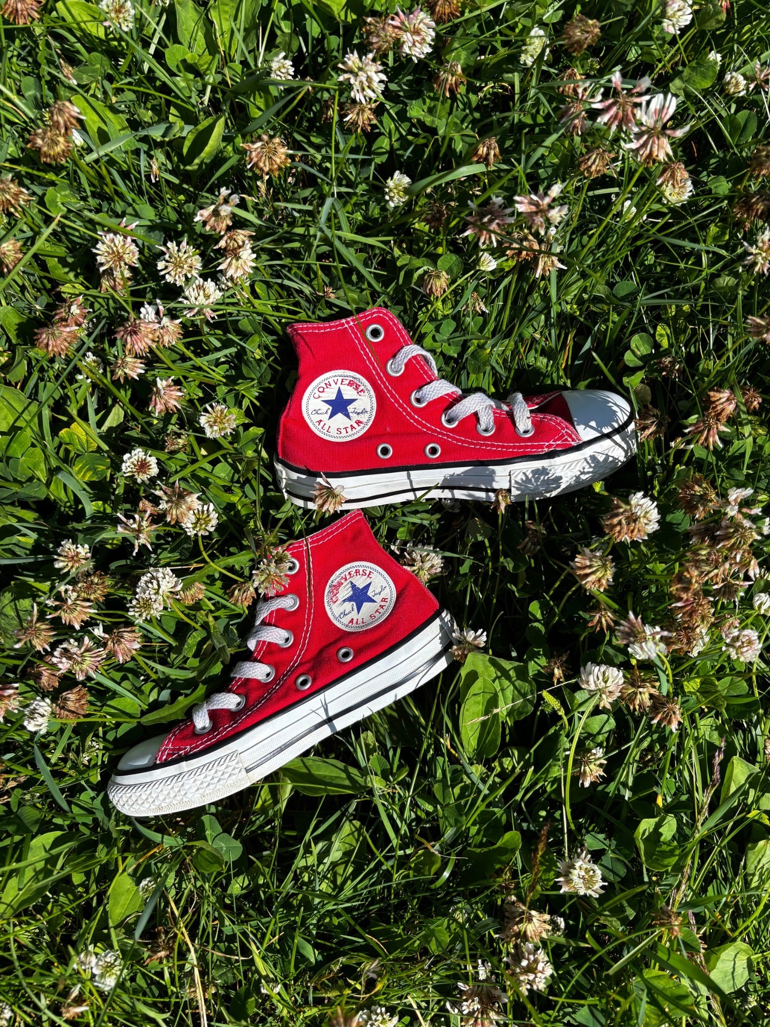 Aesthetic Red Converse Red Wine Converse Shoes Maroon Converse