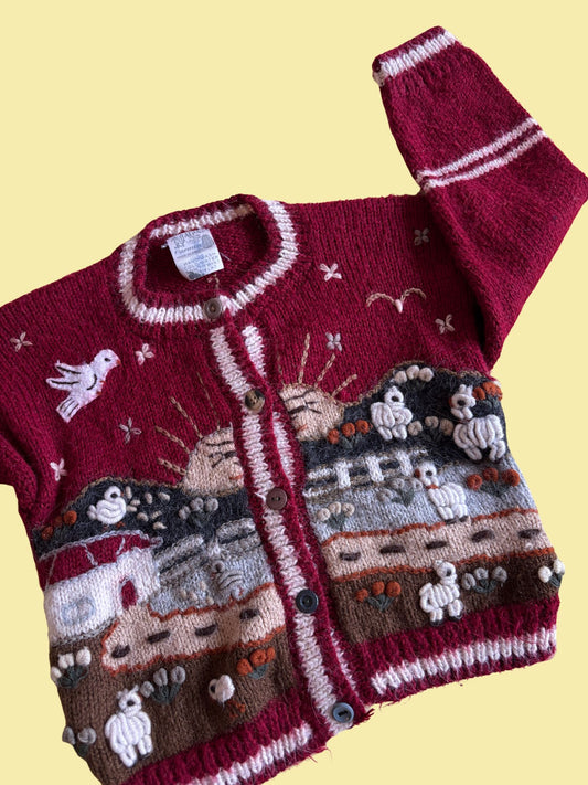 Wool Cardigan 4-5 Years