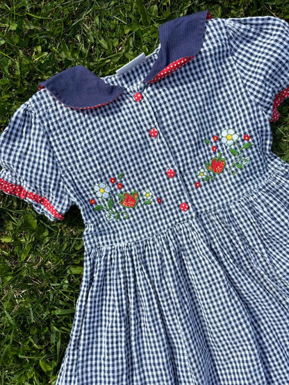 Strawberry Dress Age 6-7 Years
